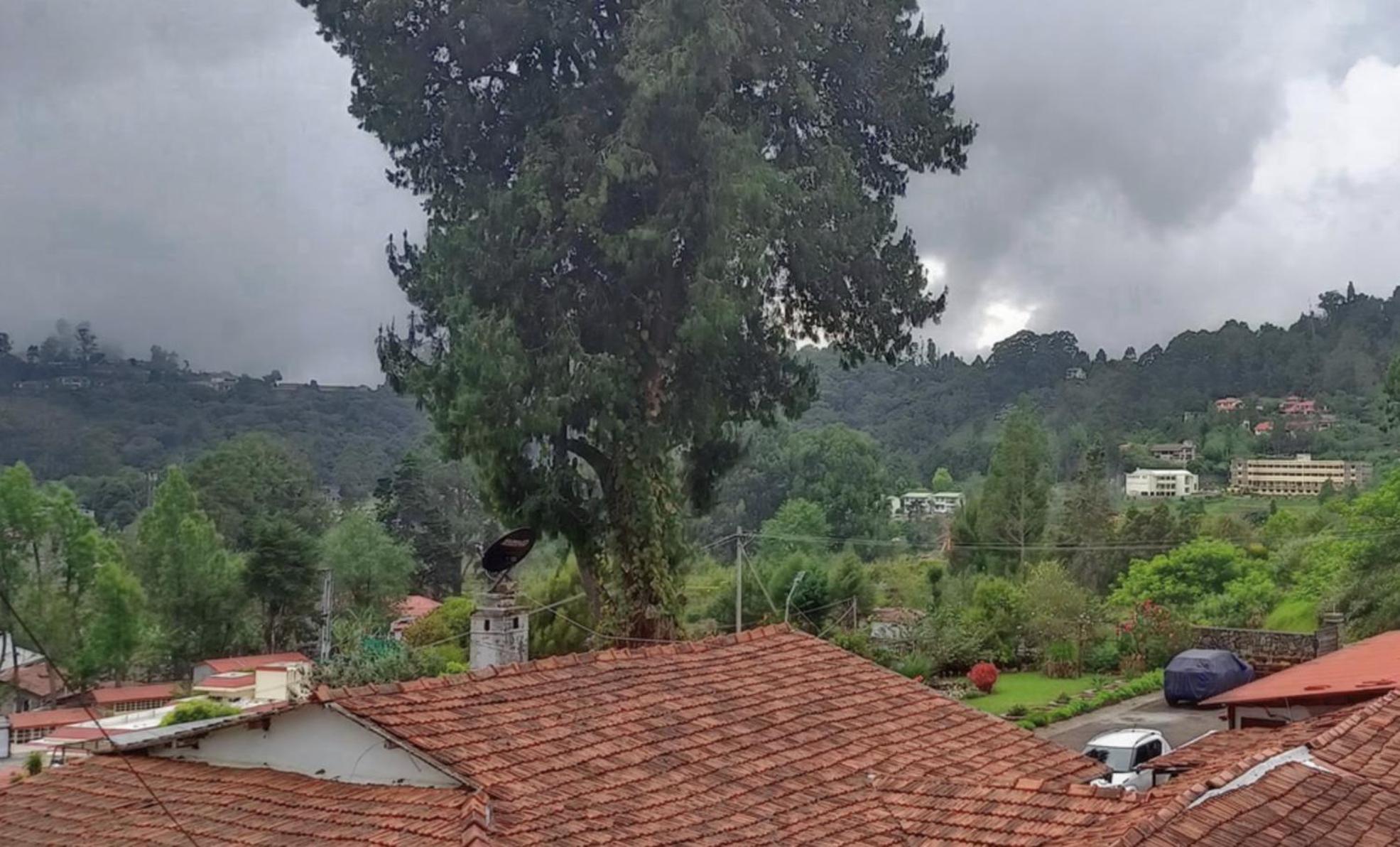 Mountain Retreat Kodai Kodaikanal Zewnętrze zdjęcie